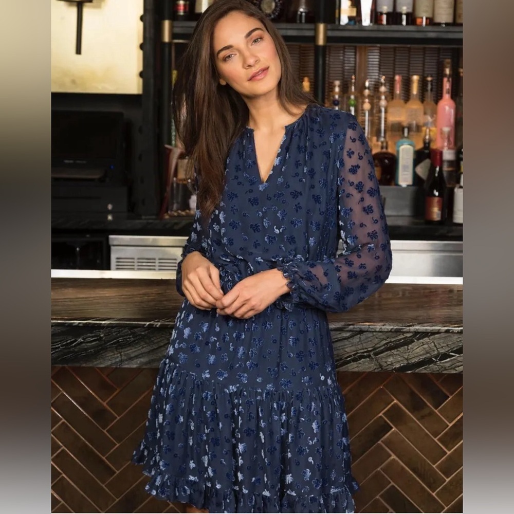 Shoshanna Velvet Floral Levon Dress Silkโ Blue 6 C3